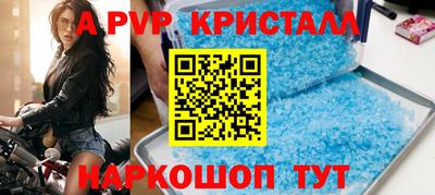 спиды Донской