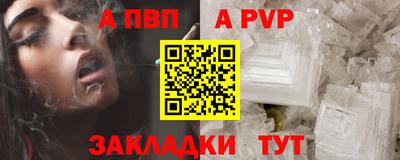 спиды Донской