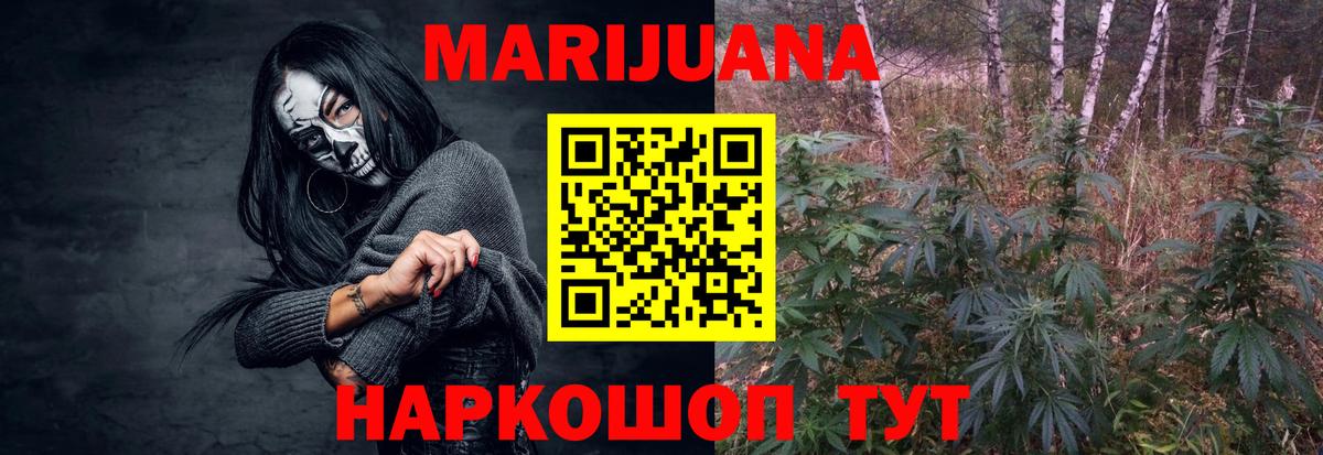 Бошки Шишки гибрид Можга